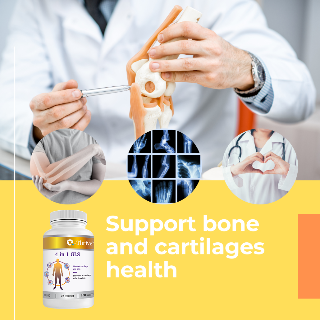 X-Thrive 4-in-1 GLS 875mg 150 tablets Health Supplement for Joint Pain Relief, Osteoarthritis Conditions, Bone Health, Cartilages, Arthrosis, Natural Bone Support