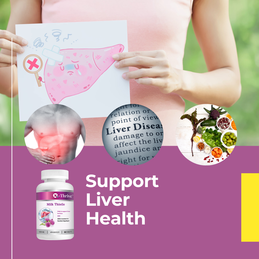 X-Thrive, Milk Thistle 1000mg 90 tablets Health Supplement for Liver Support, Liver Protectant, Gallbladder Health